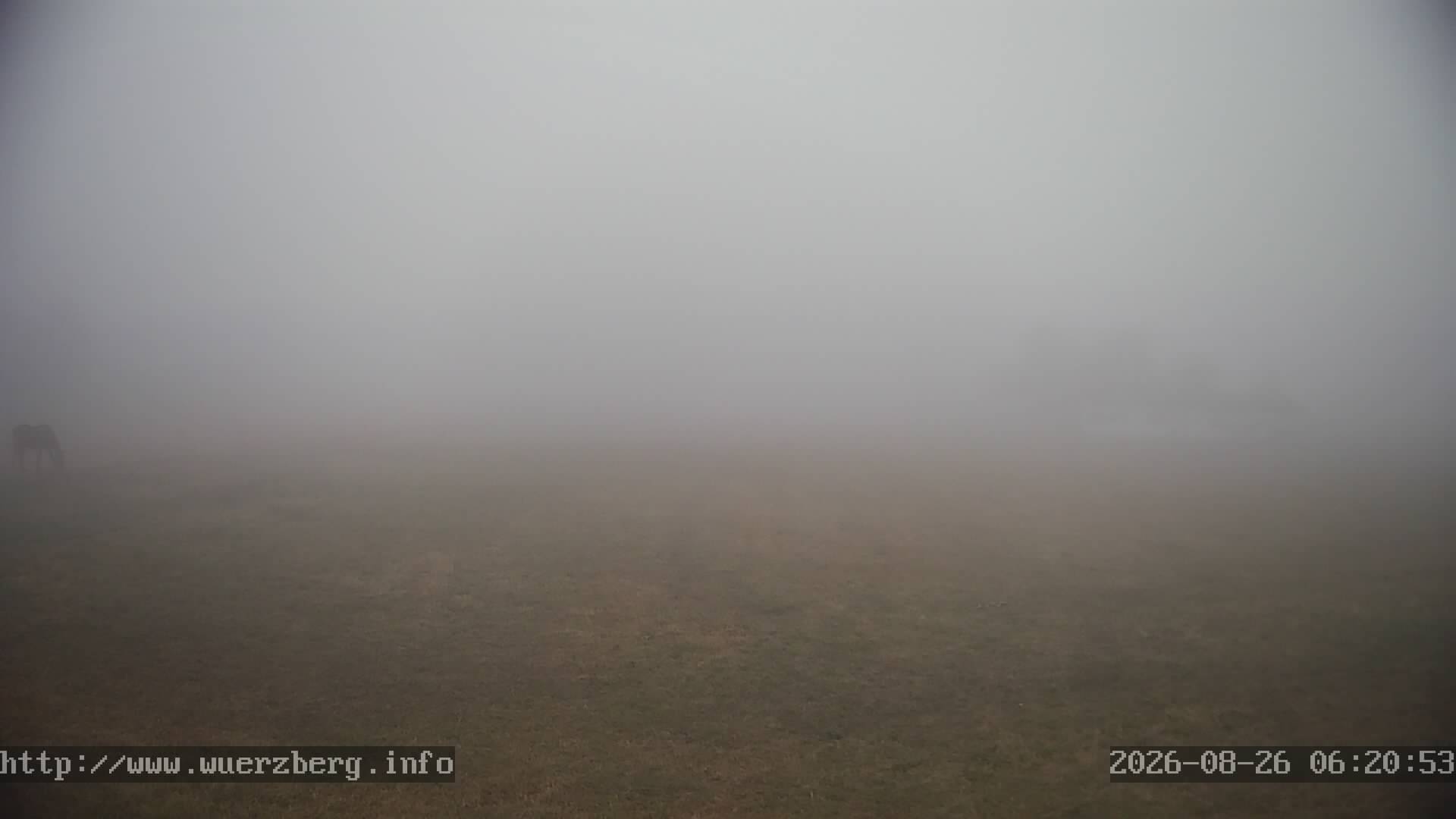 Webcam Würzberg